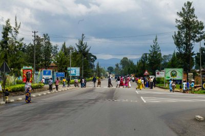 Ruanda & die Berggorillas