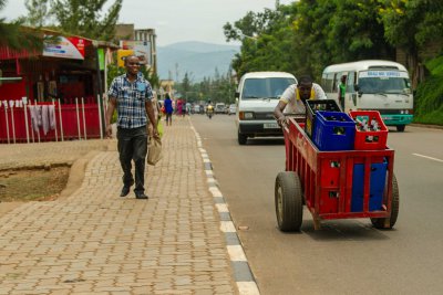 Ruanda & die Berggorillas
