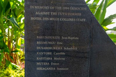 Ruanda & die Berggorillas