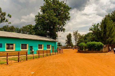 Ruanda & die Berggorillas