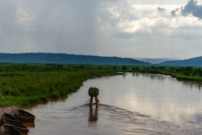 Ruanda & die Berggorillas