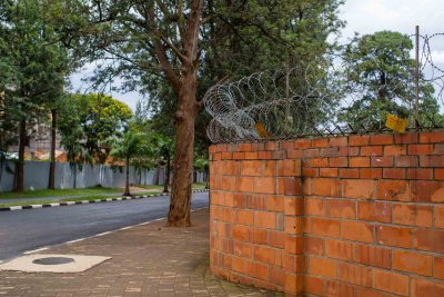 Ruanda & die Berggorillas