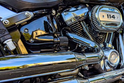 Harley