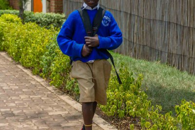 Ruanda & die Berggorillas