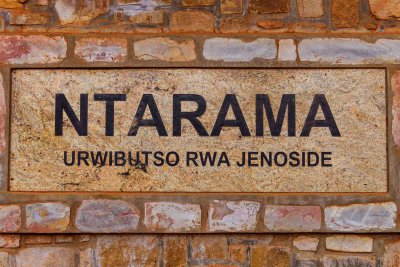 Ruanda & die Berggorillas