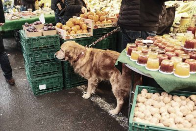 Straßenfotografie Fuji XT-5