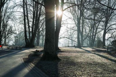 Im Park