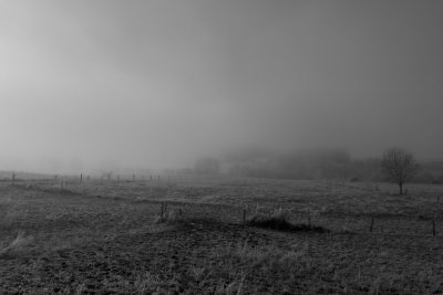 Foggy