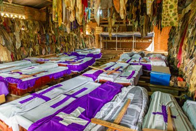 Ruanda & die Berggorillas