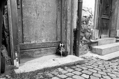 Schlittschuhe